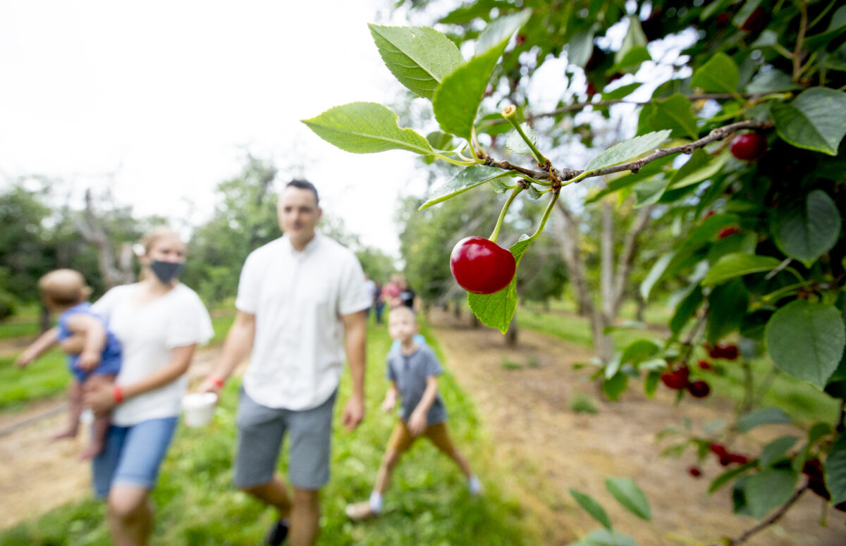 Santaquin asks Utah, Juab counties to adjust boundary to promote